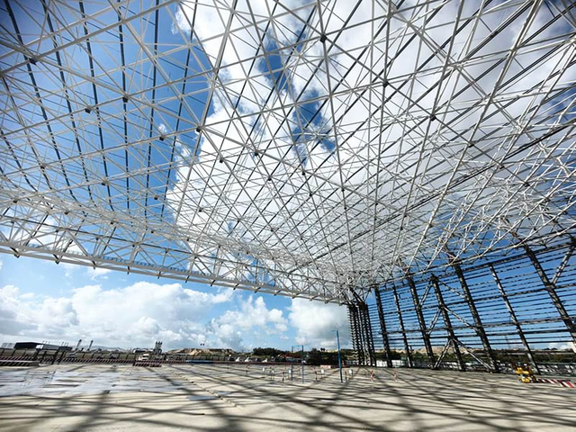 Custom Steel Grid Structure