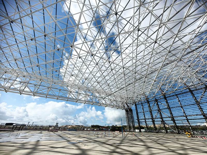 Custom Steel Grid Structure