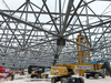 Custom Steel Grid Structure